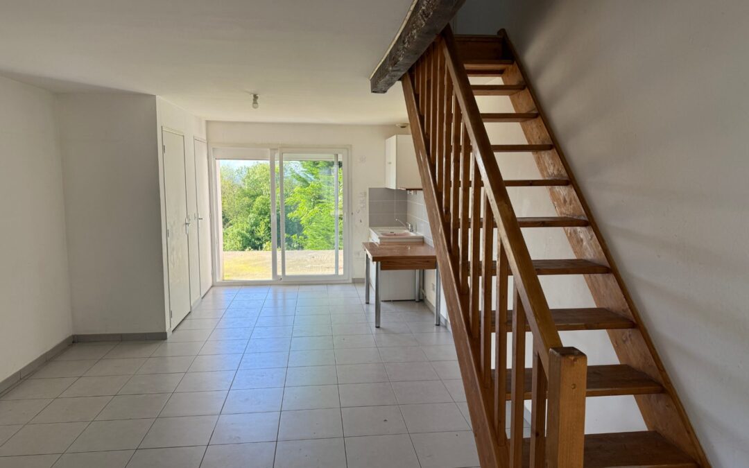 Vente de maison à Luzinay