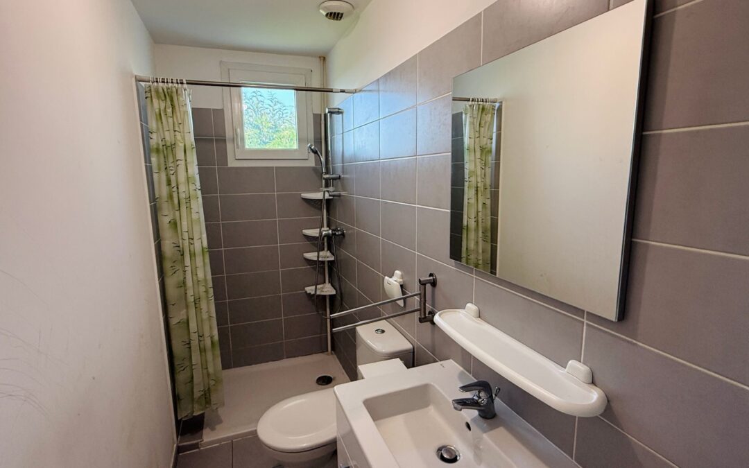 Achat immobilier à Luzinay