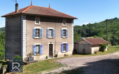 Pourquoi faire appel à un agent immobilier à Serpaize ?