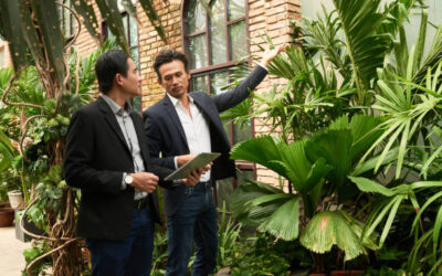 Un expert immobilier à Jardin peut-il intervenir pour évaluer une maison avant un rachat de soulte ?