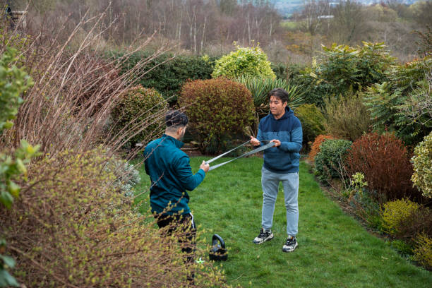 expertise immobilière à Jardin